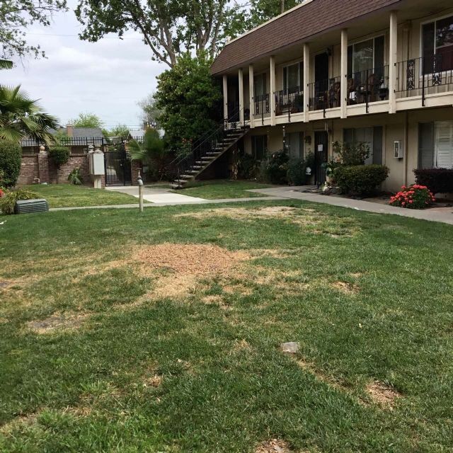 Building Photo - Condo For Rent in Stockton
