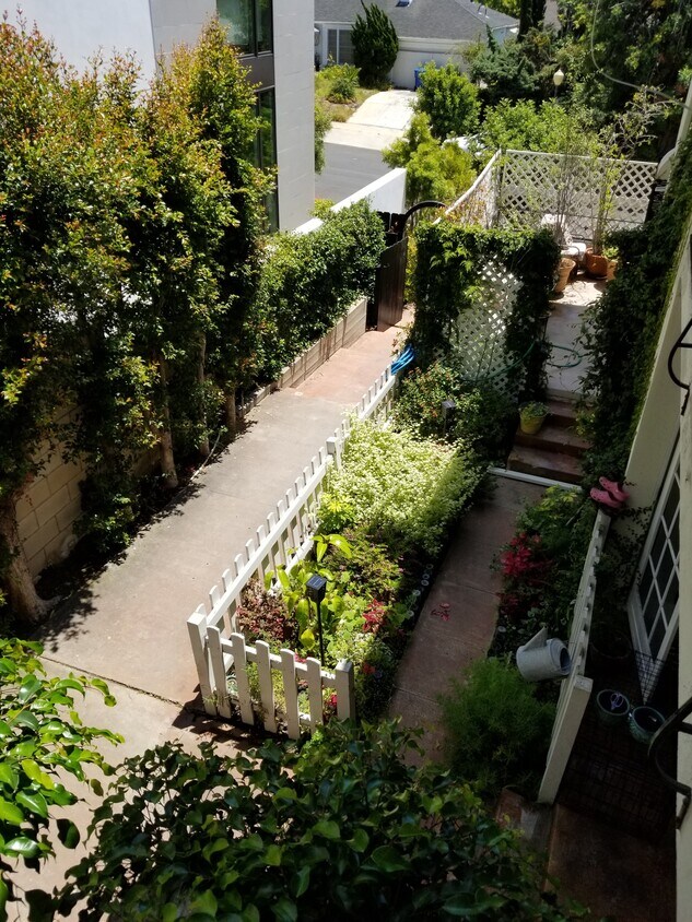 Courtyard - 10669 Kinnard Ave