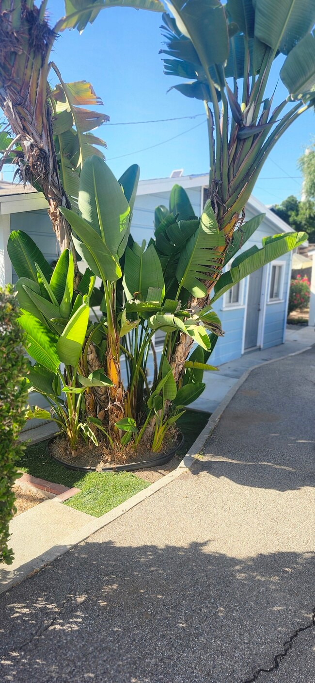 Foto del edificio - 826 Orange Grove Pl