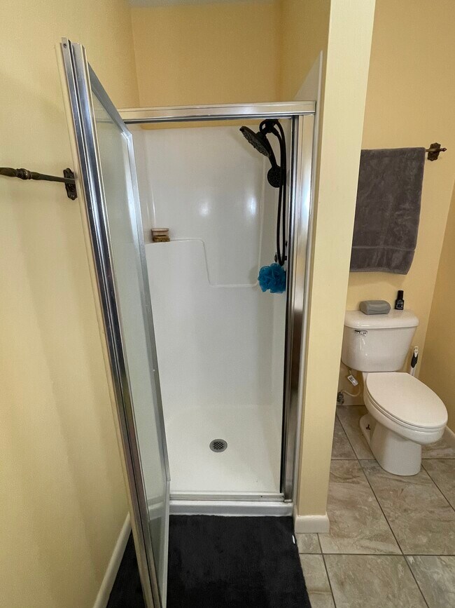 Bathroom with luxury shower head and antique brass fixtures - 6905 SW Regional Airport Blvd