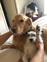 Building Photo - 547a E Dover St