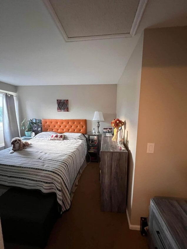 Photo - 3400 W 104th Pl (Westminster, CO)