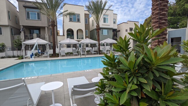 Piscina y spa, casa club, barbacoa. - 577 Daniel Freeman Cir