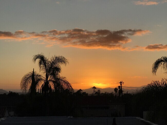 Las vistas del atardecer son fabulosas - 3422 33rd St