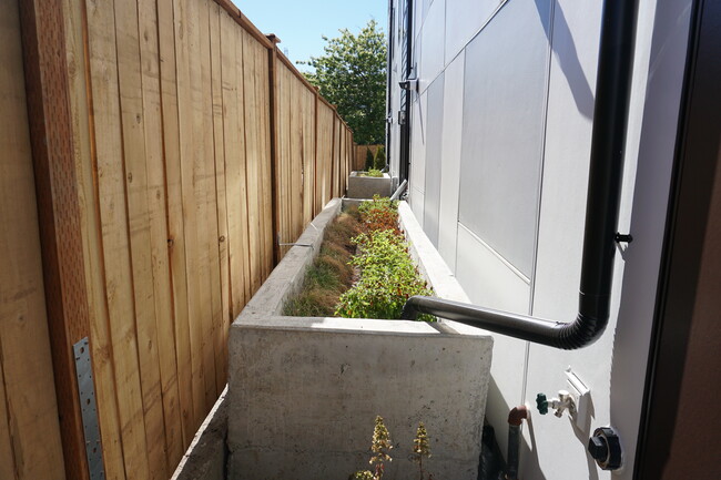 South facing rear yard - 4203 S Holden St