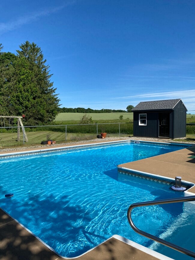 Pool area - 135 Bass Rd