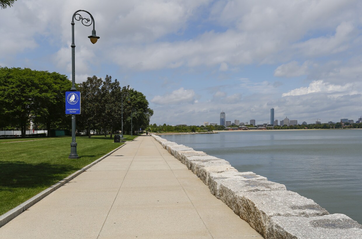 Picture of Columbia Point Dorchester