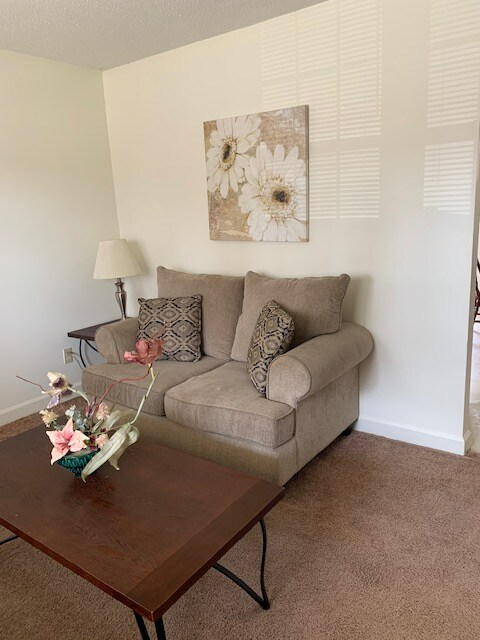 Foto del edificio - 369 Crabapple Cir