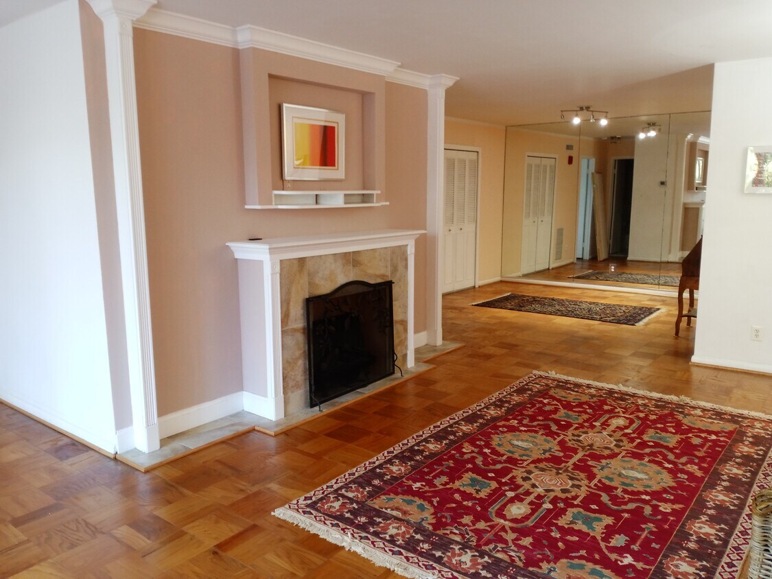 Fireplace - 4977 Battery Ln