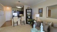 This single-floor residence offers a well-designed open-concept layout that unifies the living and kitchen areas into one cohesive, functional space. The kitchen is equipped with dark espresso cabinetry, stainless steel appliances including a full-size refrigerator, and a breakfast bar with tall upholstered bar stools, making it ideal for casual dining and entertaining. A contemporary pendant and track lighting fixture overhead adds both style and practicality to the kitchen space. Crown molding along the ceiling lends an elegant architectural touch throughout. The living area is warm and inviting, anchored by plush carpeting and neutral-toned walls that provide a versatile backdrop for furnishings. A dark wood open bookshelf serves as a stylish room divider between the two areas, adding visual interest and storage. The living space is accented with a modern table lamp, decorative greenery, and curated wall art, contributing to a polished yet comfortable ambiance. The overall design balances contemporary style with functional living, making thoughtful use of the available space to create a cohesive and welcoming environment throughout.