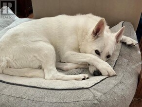 Building Photo - 361 Linden St