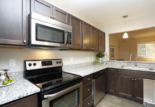 Pine Floorplan 2BR, 1BA - 840sf    Forest Pointe 4-  Kitchen - Forest Pointe