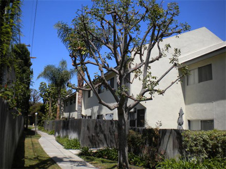 Building Photo - Oakwood Apartments