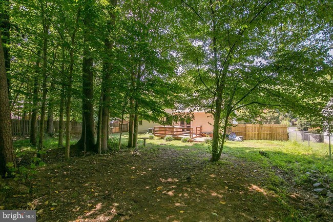 Building Photo - 232 Vine Pl
