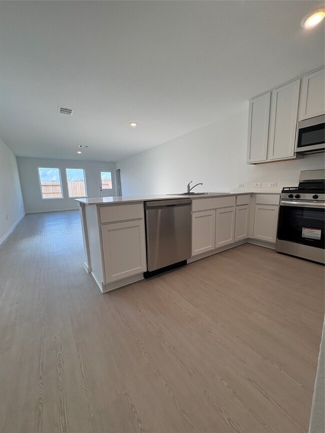 Building Photo - 909 Lago Laceno Ln