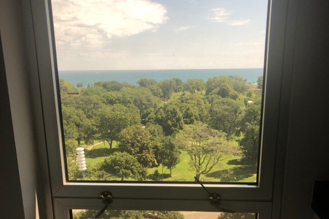View from the kitchen window - 1960 N Lincoln Park W