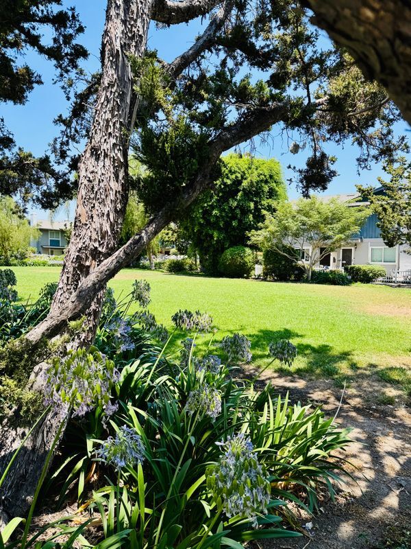 Foto del edificio - 14675 Red Hill Ave