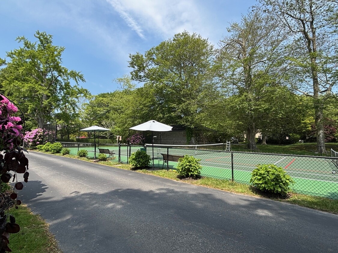 Primary Photo - 31 Ward Ave