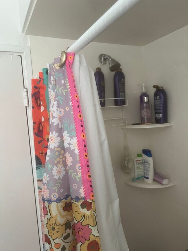 Foto del edificio - South of BYU Campus 1 bed /1 bath