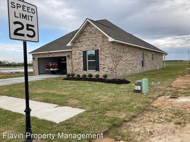 Foto del edificio - 4 br, 3 bath House - 4487 Lakes Edge Dr.