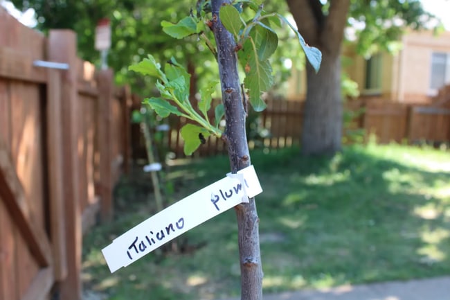 Foto del edificio - 1531 Willow St