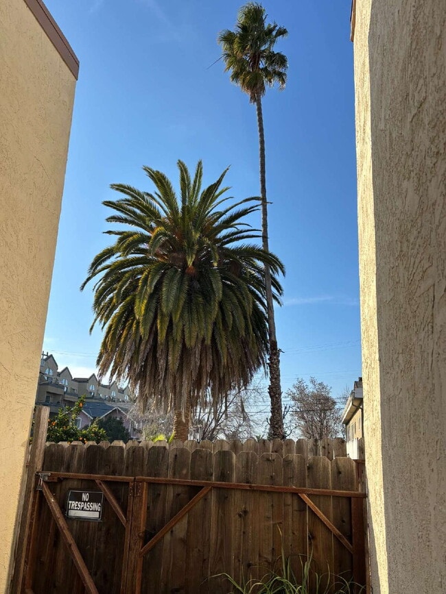 Photo - 1825 Harrison St Apartment