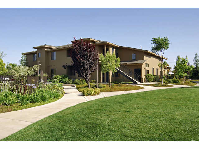 Complejo - Polo Villas