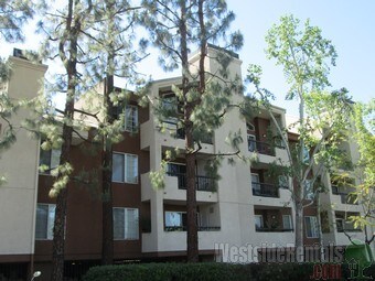 Foto principal - 5565 Canoga Ave