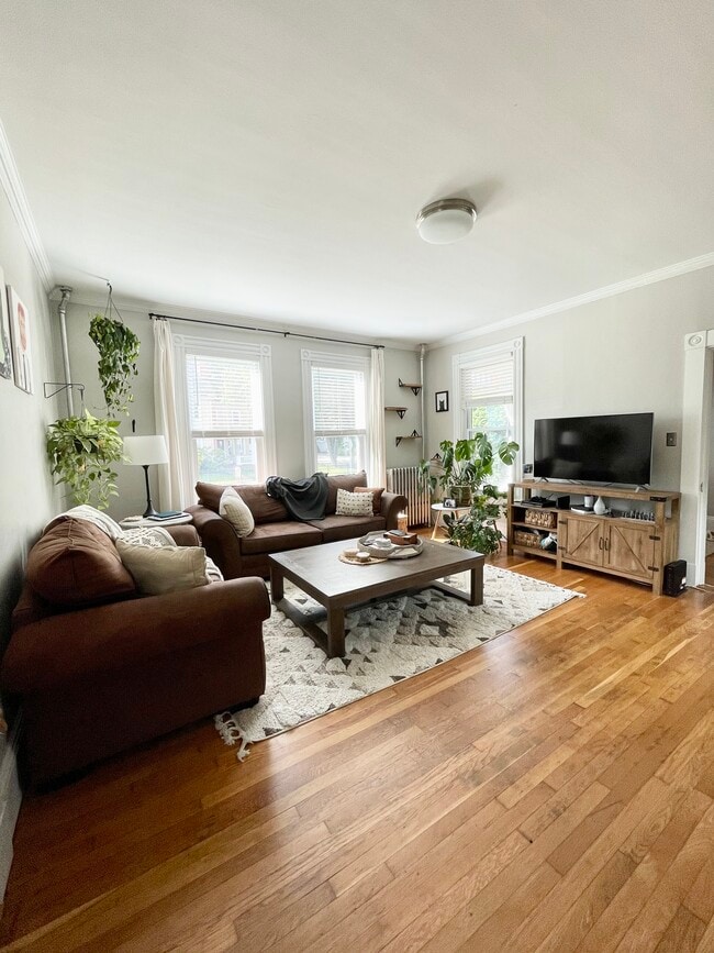 Living Room - 177 Central Ave