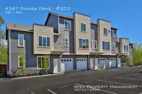 Primary Photo - 4347 Fuchsia Dr