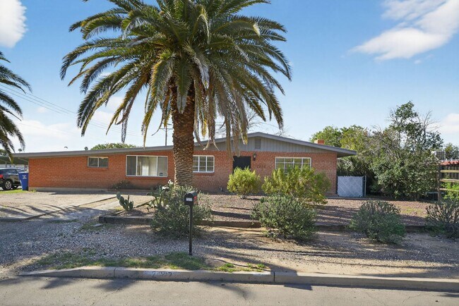 Foto del edificio - 2272 E Blacklidge Dr