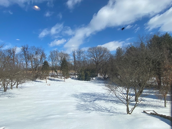 Building Photo - 1732 Castleman Rd