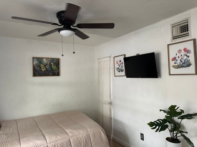 Televisor montado en la pared con películas y programas limitados gratuitos y bonitas imágenes en la pared - 611 S Pine St