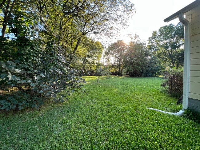 Back Yard - 1631 Rosedale St