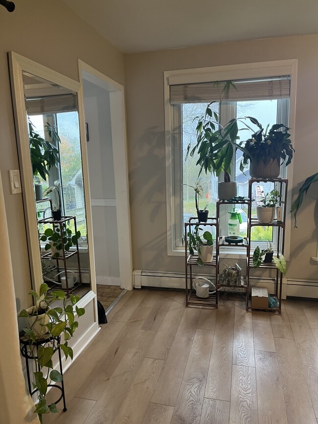 Building Photo - 21 Harris St