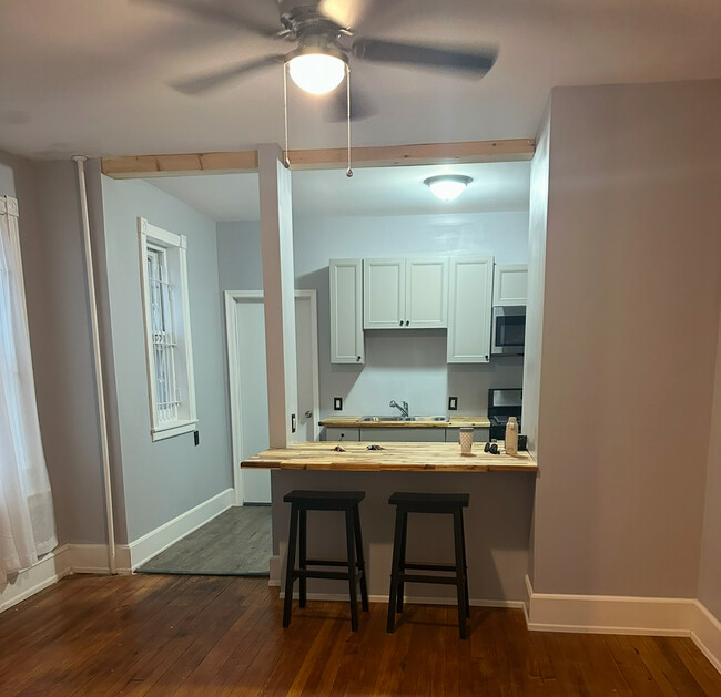 Newly Renovated 1-bedroom apartment - 1206 Wagner Ave