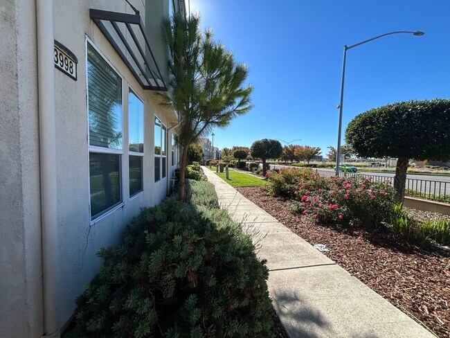 Foto del edificio - 3998 E Commerce Way