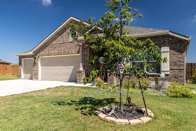 Foto del edificio - 804 Shrike Ln