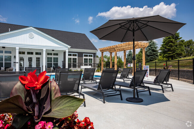 Outdoor Pool & Patio - Hamilton Woods