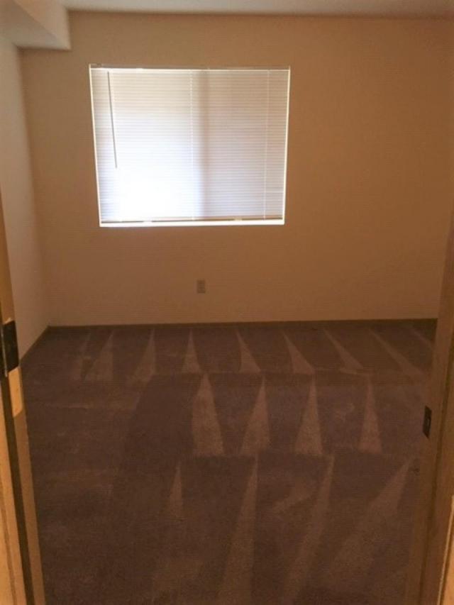 Foto del edificio - 1 bedroom in Seattle WA 98116