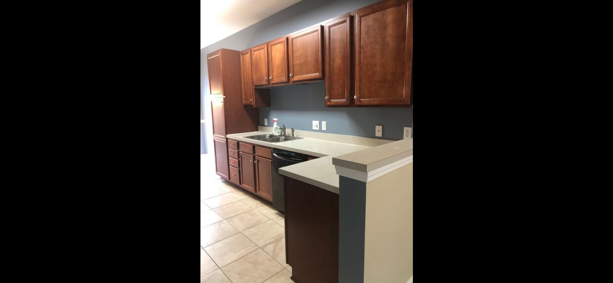 1008 Laparc Ln, Indian Trail, NC 28079 Townhome Rentals in Indian