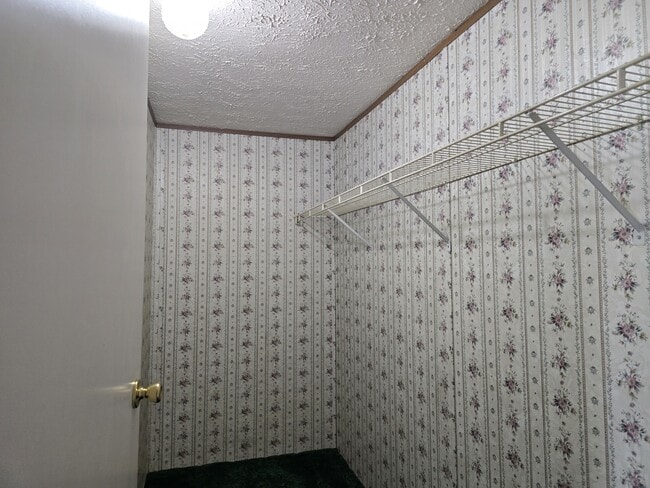 Building Photo - 926 Hollywood Dr