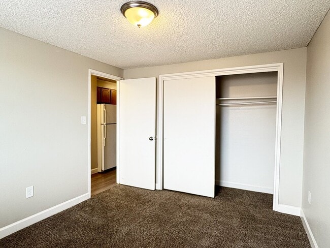 Cozy, Plush Carpeting - Live On South Federal