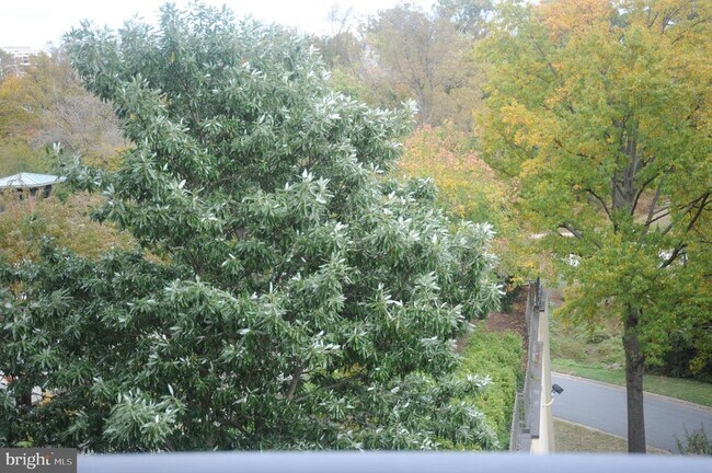 Foto del edificio - 5225 Pooks Hill Rd