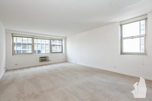 1 bedroom in Chicago IL 60611 - 1 bedroom in Chicago IL 60611 Apartment