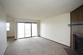 This single-floor space offers a straightforward, accessible layout contained entirely on one level. Without additional details regarding room configurations, square footage, or specific architectural features, the full scope of the interior remains open to further exploration. The single-story design inherently promotes ease of movement and flow throughout, eliminating the need for stairs and creating a cohesive living environment. Further information about the space's features, finishes, and layout would help paint a more complete picture of what this property has to offer.