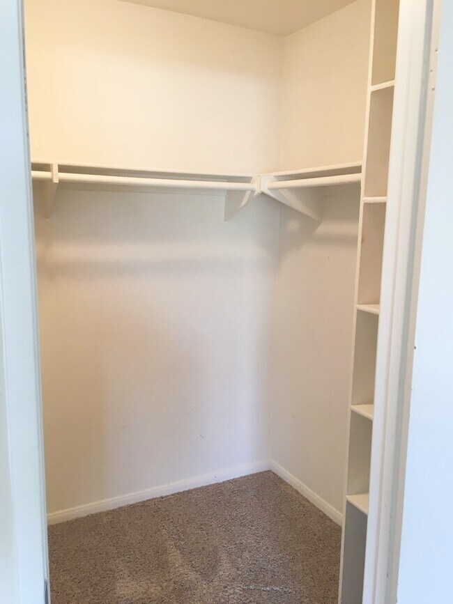 Walk In Closet w/ Shelving - 214 Woodland Pkwy