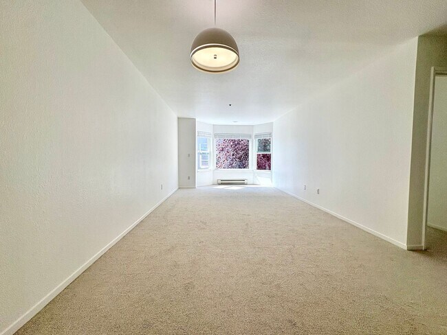 Foto del edificio - Beautiful 1Bd/1Ba in the Heart of Pacific Heights