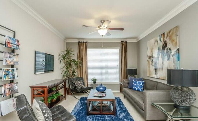 Foto del edificio - 2 bedroom in Houston TX 77007