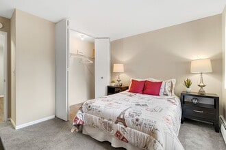 Interior Photo - The Element